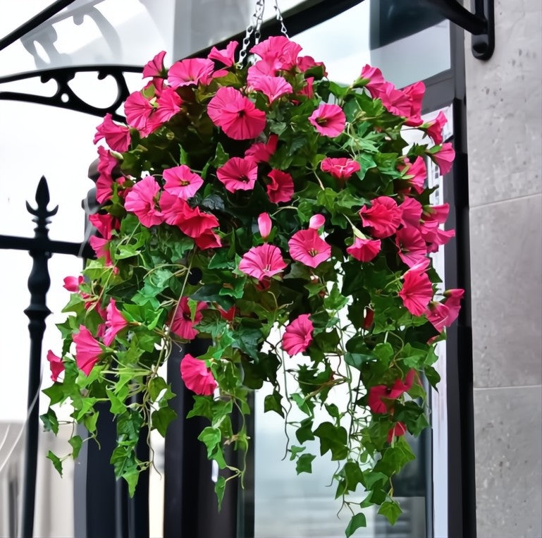 Buy 1 Get 1 Free | Artificial Morning Glory Hanging Flowers Homezys